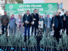 Denizli’de üreticiye 100 bin zeytin fidanı desteği