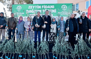 Denizli’de üreticiye 100 bin zeytin fidanı desteği
