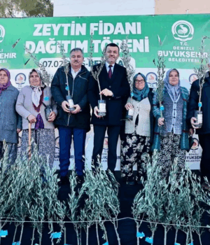 Denizli’de üreticiye 100 bin zeytin fidanı desteği