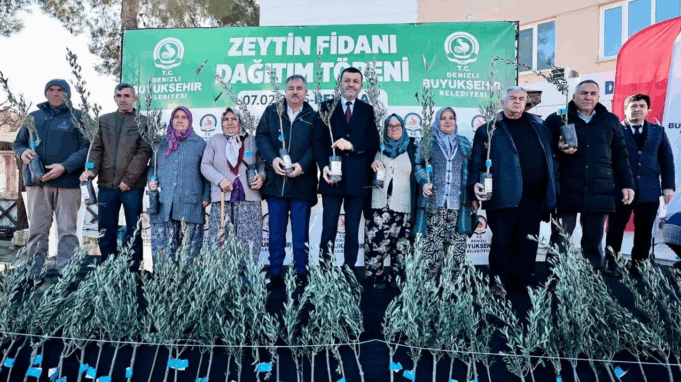 Denizli’de üreticiye 100 bin zeytin fidanı desteği