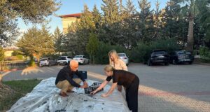 Manavgat’ta 2 bin yıllık zeytin ağacı meyve verdi