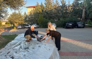 Manavgat’ta 2 bin yıllık zeytin ağacı meyve verdi