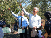 Soma’da Geleneksel Hasat Şenliği; “Kömür kadar zeytin de değerimiz”