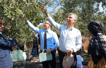 Soma’da Geleneksel Hasat Şenliği; “Kömür kadar zeytin de değerimiz”