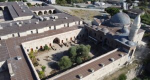 Hatay’da 1358 yaşındaki zeytin ağacında hasat zamanı