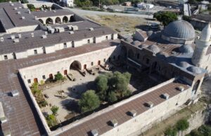 Hatay’da 1358 yaşındaki zeytin ağacında hasat zamanı