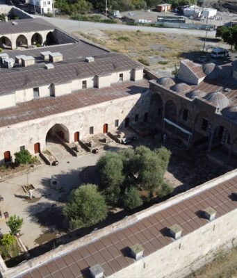 Tarihi caminin avlusundaki 1358 yaşındaki zeytin ağacında hasat zamanı