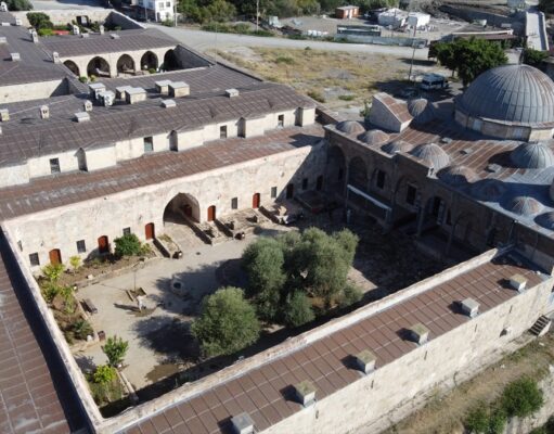 Hatay’da 1358 yaşındaki zeytin ağacında hasat zamanı