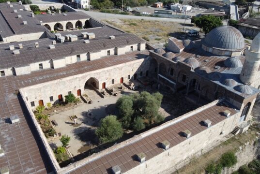 Tarihi caminin avlusundaki 1358 yaşındaki zeytin ağacında hasat zamanı