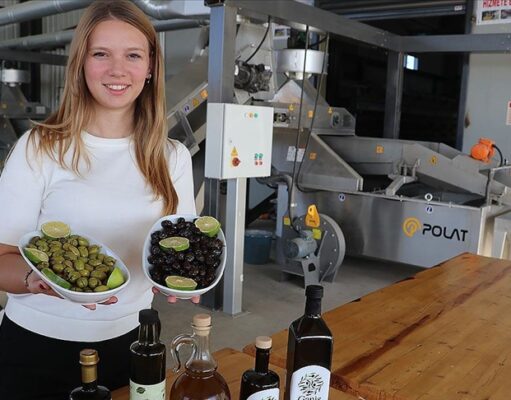 Kadın çiftçi yetiştirdiği zeytine devlet desteği ile kurduğu tesisle katma değer kazandırıyor