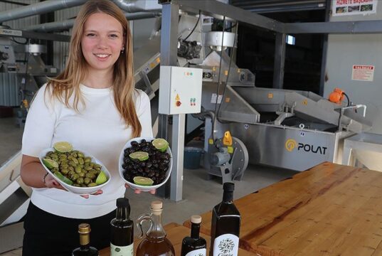 Kadın çiftçi yetiştirdiği zeytine devlet desteği ile kurduğu tesisle katma değer kazandırıyor