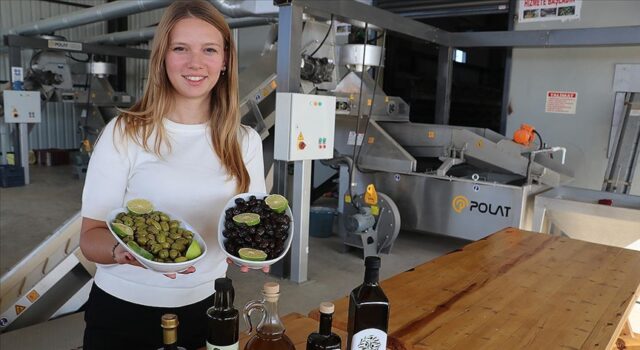 Kadın çiftçi yetiştirdiği zeytine devlet desteği ile kurduğu tesisle katma değer kazandırıyor