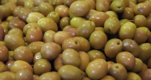 Sofralık zeytin ihracatında rekor kırıldı