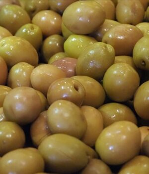 Sofralık zeytin ihracatında rekor kırıldı