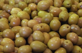 Sofralık zeytin ihracatında rekor kırıldı