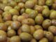 Sofralık zeytin ihracatında rekor kırıldı