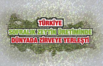 Türkiye Sofralık Zeytin Üretiminde Dünyada Zirveye Yerleşti