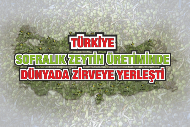 Türkiye Sofralık Zeytin Üretiminde Dünyada Zirveye Yerleşti