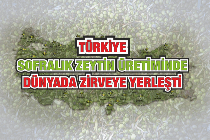 Türkiye Sofralık Zeytin Üretiminde Dünyada Zirveye Yerleşti