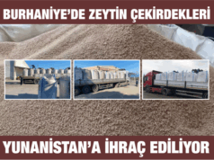 Burhaniye’den Yunanistan’a Zeytin Çekirdeği İhracı