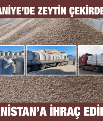 Burhaniye’den Yunanistan’a Zeytin Çekirdeği İhracı