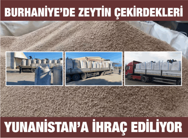Burhaniye’den Yunanistan’a Zeytin Çekirdeği İhracı