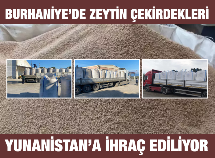 Burhaniye’den Yunanistan’a Zeytin Çekirdeği İhracı