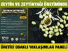 Zeytin ve zeytinyağı üretiminde üretici odaklı yaklaşımlar paneli düzenlenecek