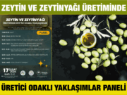 Zeytin ve zeytinyağı üretiminde üretici odaklı yaklaşımlar paneli düzenlenecek