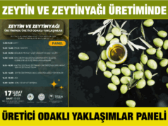 Zeytin ve zeytinyağı üretiminde üretici odaklı yaklaşımlar paneli düzenlenecek