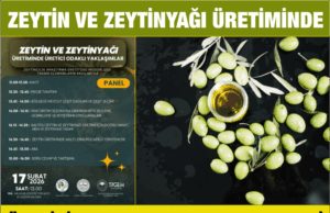 Zeytin ve zeytinyağı üretiminde üretici odaklı yaklaşımlar paneli düzenlenecek