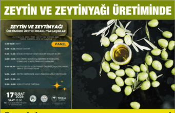Zeytin ve zeytinyağı üretiminde üretici odaklı yaklaşımlar paneli düzenlenecek