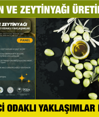 Zeytin ve zeytinyağı üretiminde üretici odaklı yaklaşımlar paneli düzenlenecek