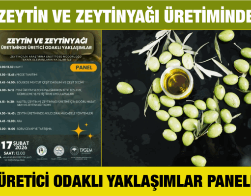 Zeytin ve zeytinyağı üretiminde üretici odaklı yaklaşımlar paneli düzenlenecek