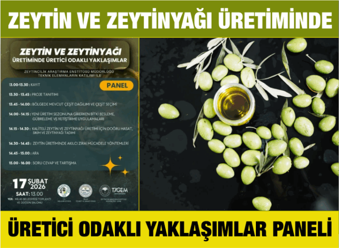 Zeytin ve zeytinyağı üretiminde üretici odaklı yaklaşımlar paneli düzenlenecek